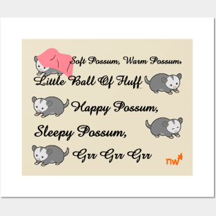 Soft Possum song Posters and Art